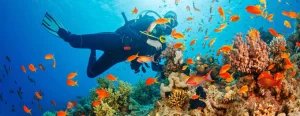 Andaman Budget Tour