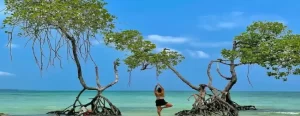 Andaman Family Tour Package