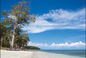 Andaman Tour Package from Cochin