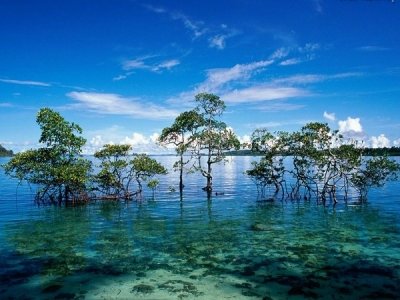 Andaman Tour Packages from Pune