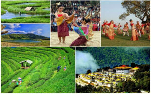 Assam Family Packages