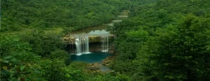 Assam Tour Package From Kolkata