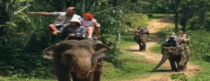 Bali Wildlife Tour