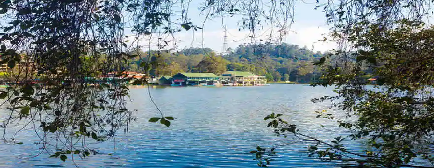 Bangalore Mysore Ooty Kodaikanal Tour