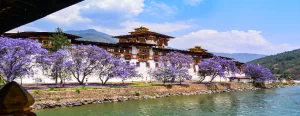 Bhutan Sightseeing Package