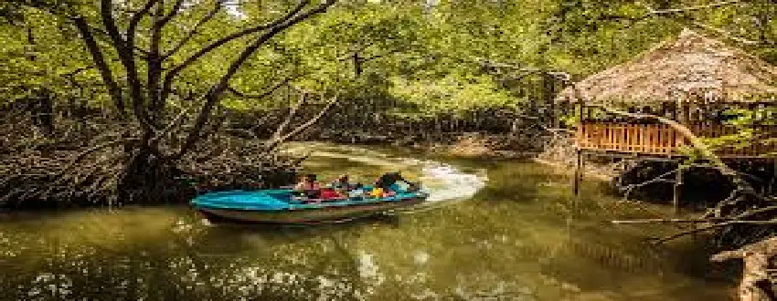 Cheap Tour Package For Andaman