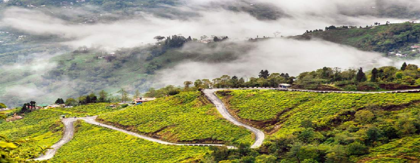 Darjeeling Tour Packages For Family