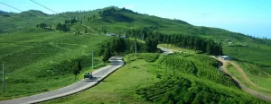 Gangtok Tour Package from Kolkata