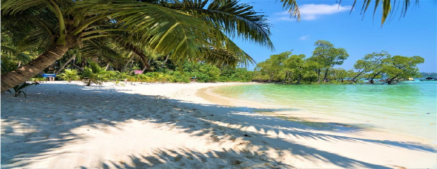 Havelock Beach Tour