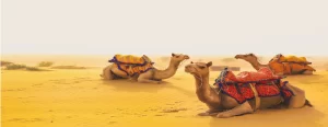 Jaisalmer tour package from Mumbai