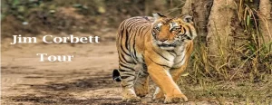 Jim Corbett Packages 2 Night 3 days