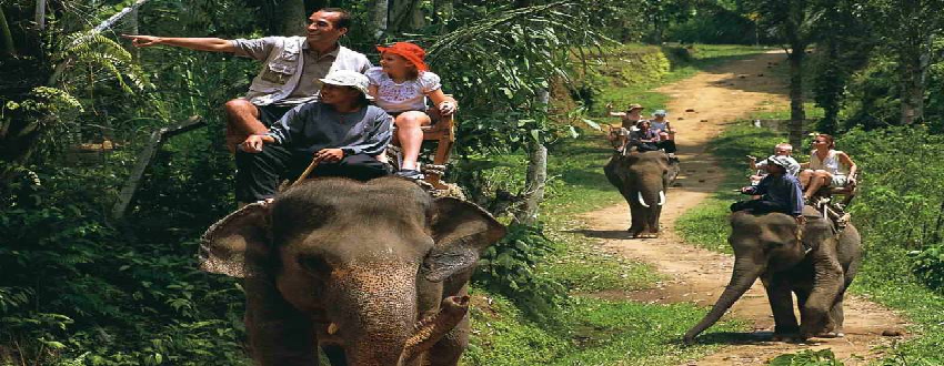 Kenya tour packages from Kolkata