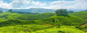 Kerala 4 Nights And 5 Days Packages