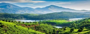 Kerala 7 Nights and 8 Days Packages