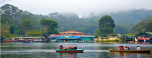 Kodaikanal Sightseeing Tour