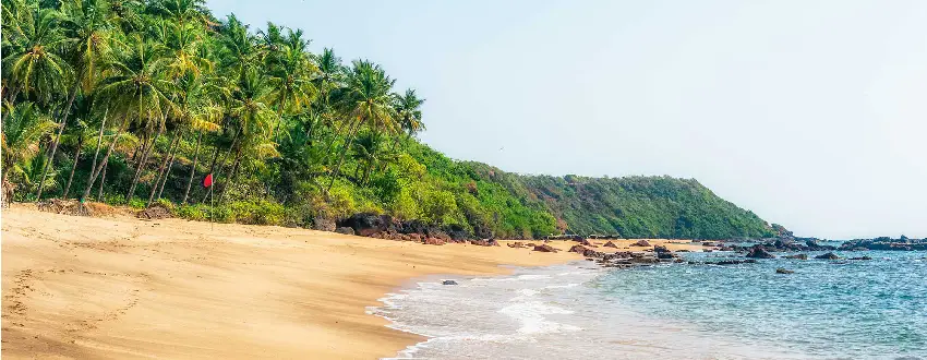 Konkan Honeymoon Tour Packages