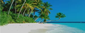 Lakshadweep Tour Packages From Bangalore