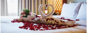 Maharashtra Honeymoon Package