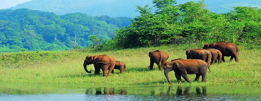 Maharashtra Wildlife Tour Package