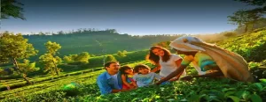 Munnar Family Tour