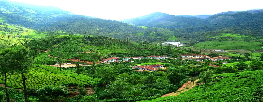 Munnar Weekend Tour