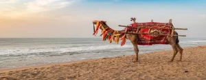 Odisha Sightseeing Tour