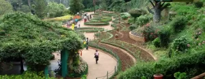 Ooty Family Tour