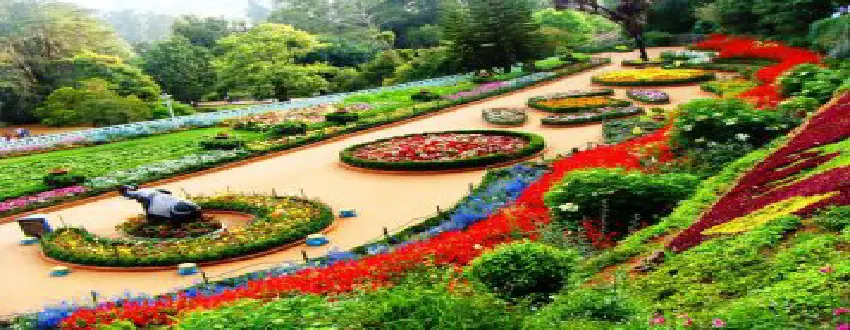 Ooty Honeymoon Packages