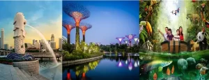 Singapore Tour Package from Delhi