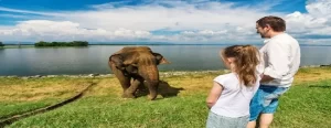 Srilanka Family Packages