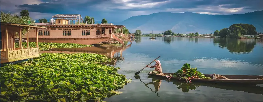 Srinagar 2 Nights And 3 Days packages