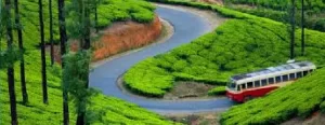 ooty tour packages for family from kerala