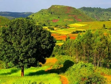 Araku Valley Tour Packages