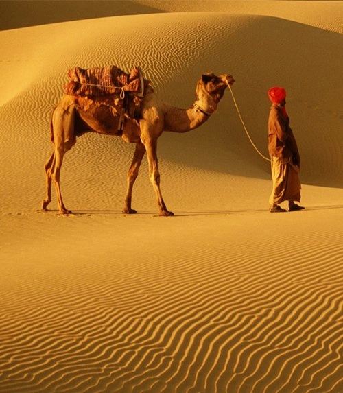 Rajasthan Tour Packages