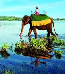 Sri Lanka Tour Packages